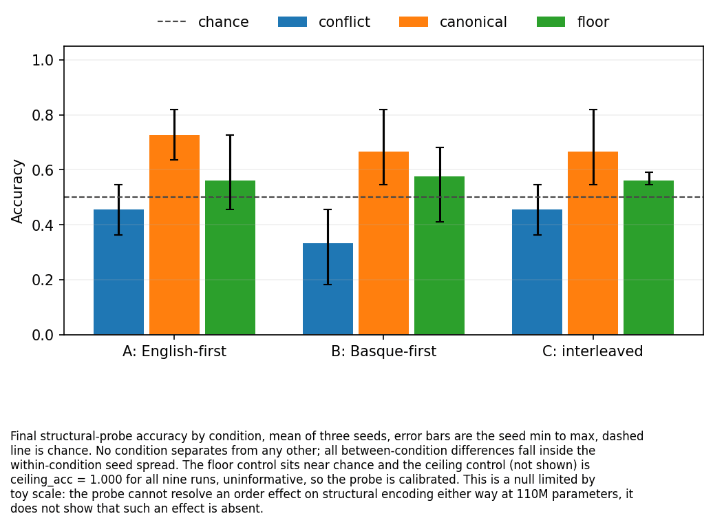 Bar chart of final grammar probe accuracy for the three curricula, each showing conflict, canonical and floor items. The error bars, drawn from the seed range, overlap across all three curricula, and the floor bars sit on the dashed chance line at 0.5.